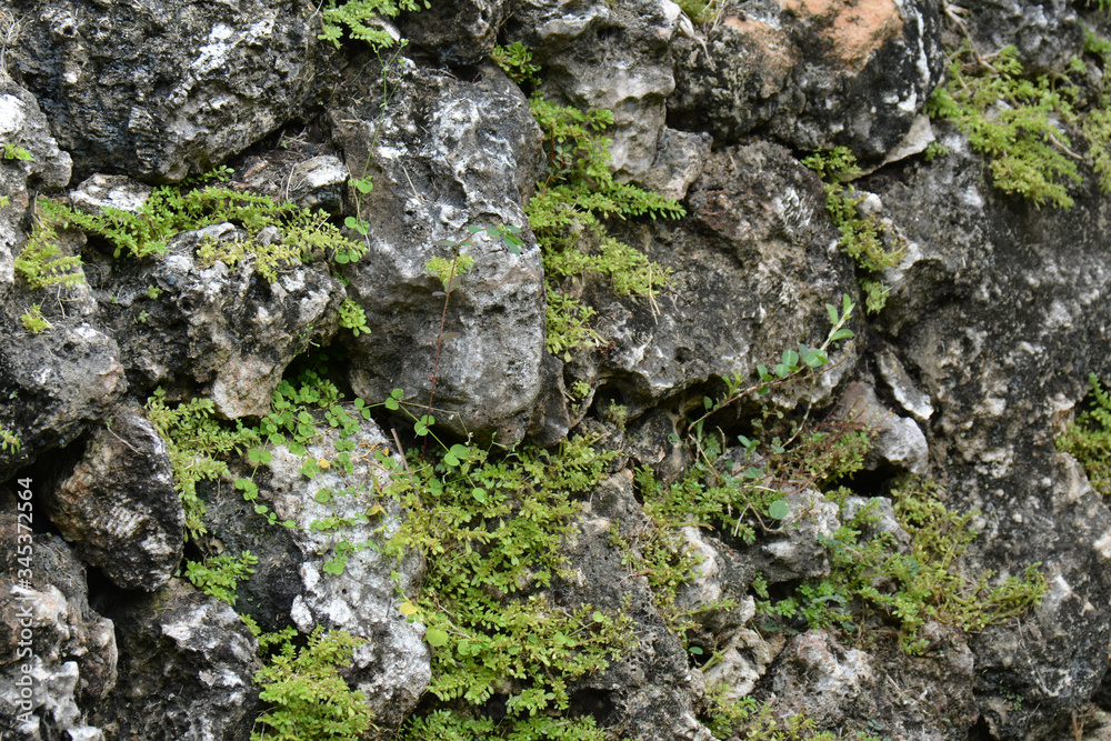 wall of weathered grey rocks and moss