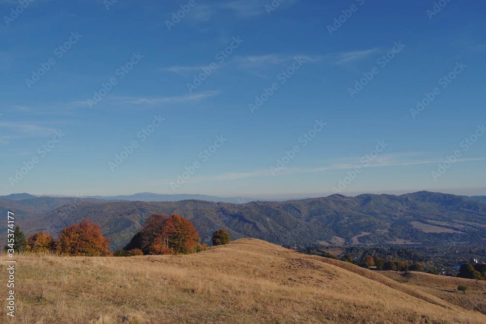 autumn mountains landscape on sunny day with colorfully forest meadow and trees autumn mountains landscape on sunny day with colorfully forest meadow and trees