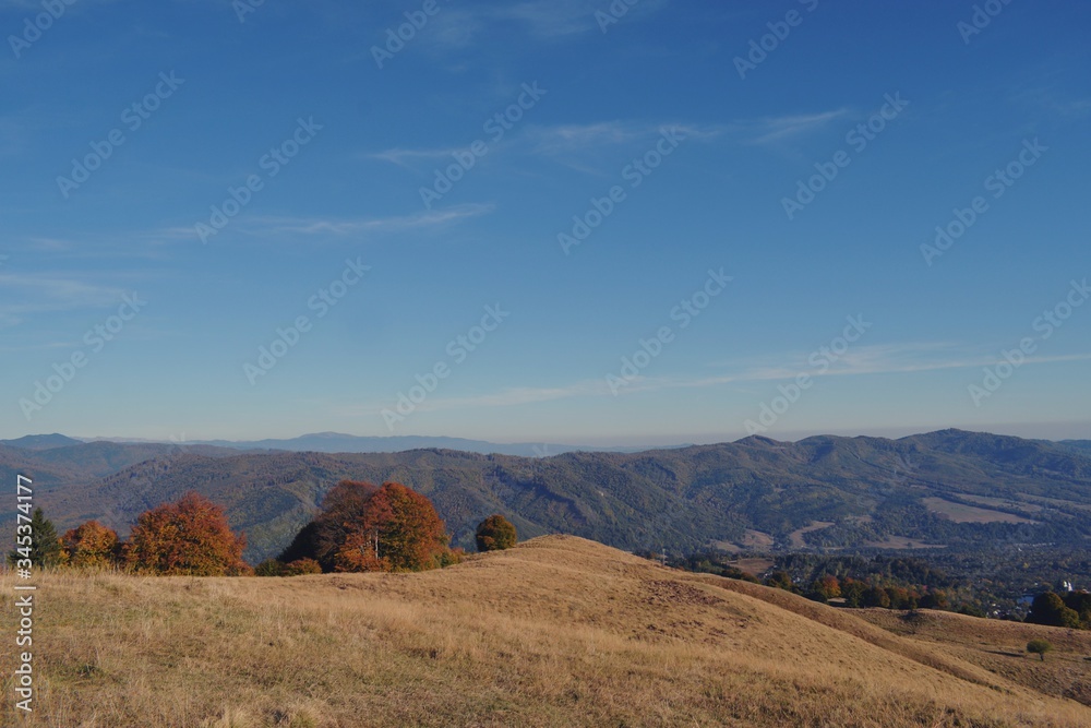 autumn mountains landscape on sunny day with colorfully forest meadow and trees