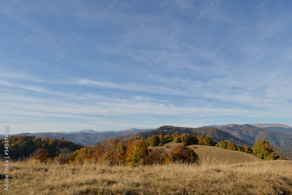 autumn mountains landscape on sunny day with colorfully forest meadow and trees