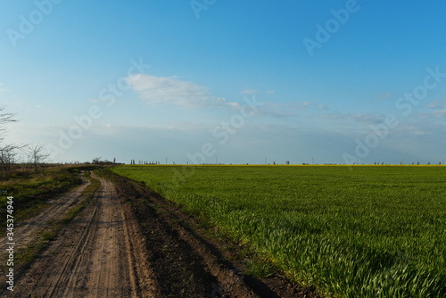 Green field, road and blue sky.