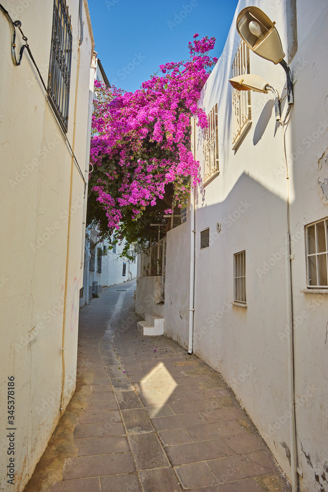 Narrow street with flower pot and Aegean sea in the background, Bodrum