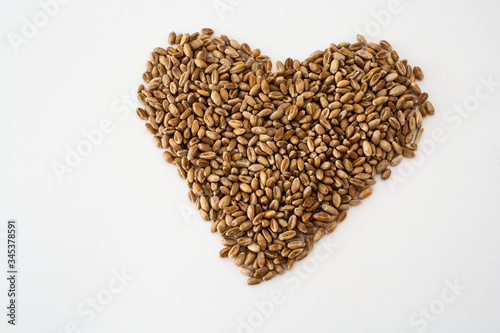 wheat grains laid out in the shape of a heart on a white background, natural dried grains in the center of the image, wheat grains isolated, love