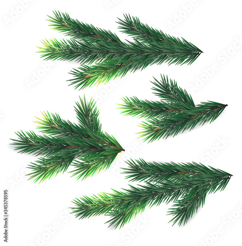 Christmas fir realistic, merry christmas, winter decor, set isolated, green fir vector illustration