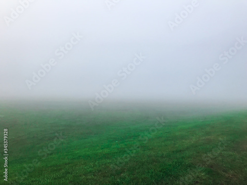 foggy field in spring