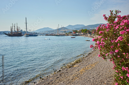 View of Bodrum Beach, Aegean sea, traditional white houses, flowers, marina, sailing boats