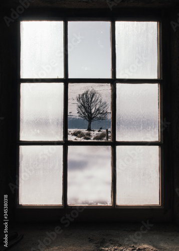 Winter Tree Through Window