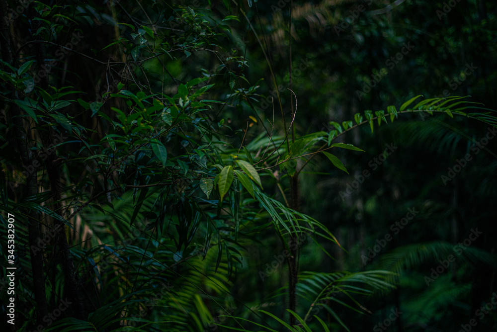naturaleza naturaleza
