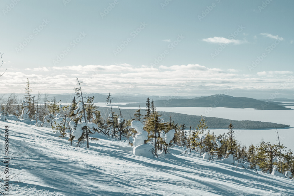 Snowy fir trees on a mountainside against the backdrop of a large lake and mountains