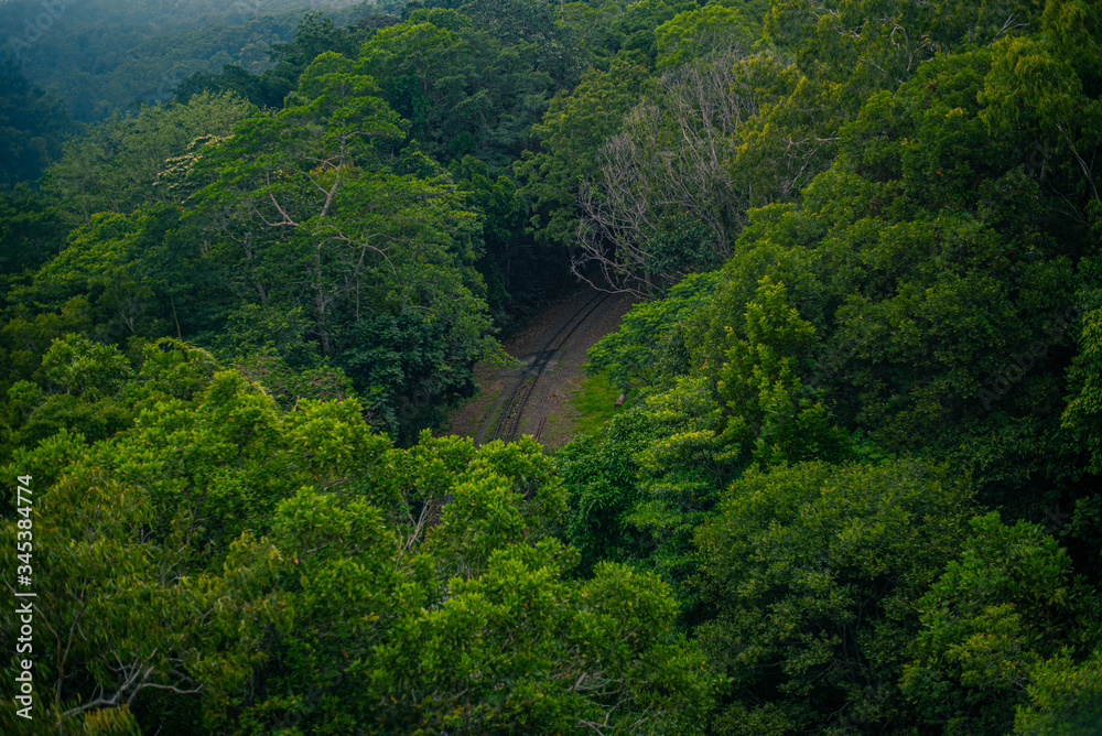 Naklejka premium naturaleza