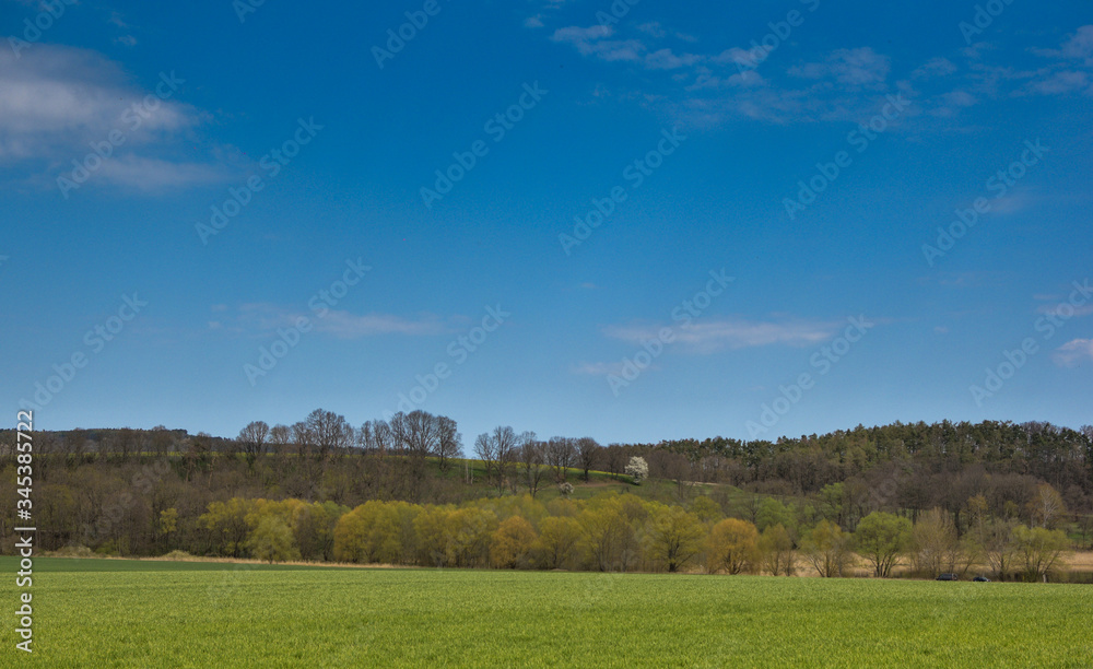 landscape, grass, sky, field, nature, green, meadow, summer, blue, rural, cloud, spring, clouds, horizon, tree, forest, agriculture, farm, panorama, countryside, pasture, land, sunny, beautiful, envir