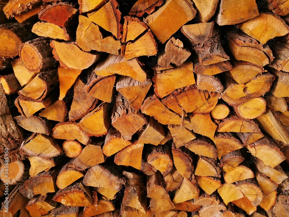 Fototapeta premium Drewno