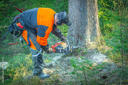 lumberjack in the forest cuts down trees