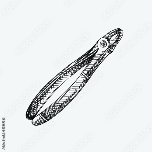 Hand-drawn sketch of dental forceps on a white background. Dental instruments. Dentistry tools and equipment. Stomatology attributes