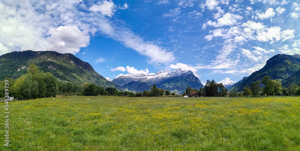 Fototapeta premium Panorama in canton Uri, Switzerland with swiss Alps and clouds