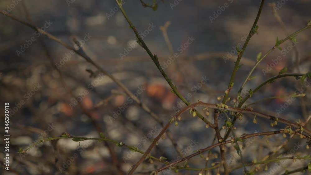 Natural disaster, climate change, global worming Natural disaster, climate change, global worming
