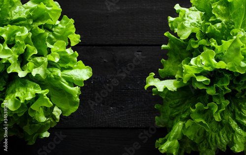 Bilde på lerret Close-up fresh green leaf lettuce or loose-leaf lettuce on black wooden plank ba