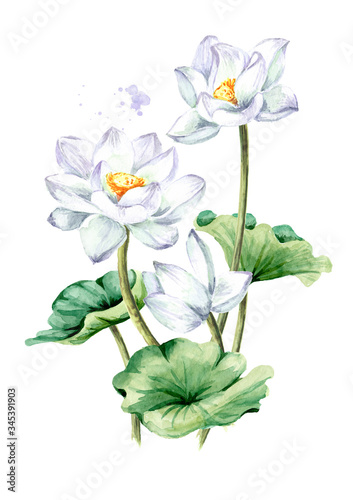 Bouquet of beautiful white Lotus flowers with green leaves. Hand drawn botanical watercolor illustration, isolated on white background