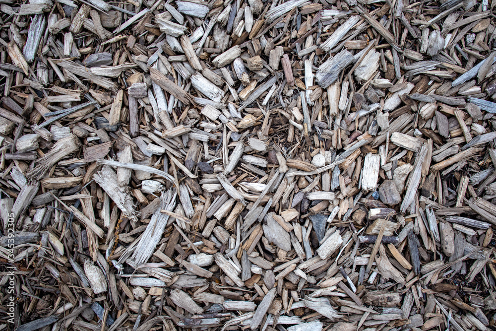 Gray wood chip mulch abstract background texture Gray wood chip mulch abstract background texture