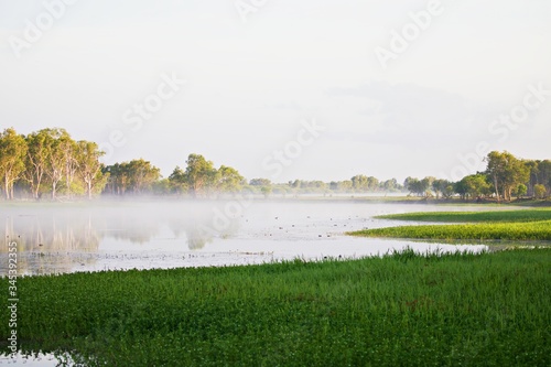 Morgennebel über Kakadu National Park photo