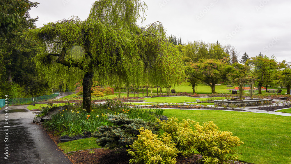 spring garden in park glistening fresh after light rain shower
