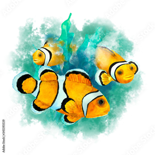 Tropical reef fish Clownfish (Amphiprion ocellaris) on a abstract green background, isolated. Hand drawn watercolor.