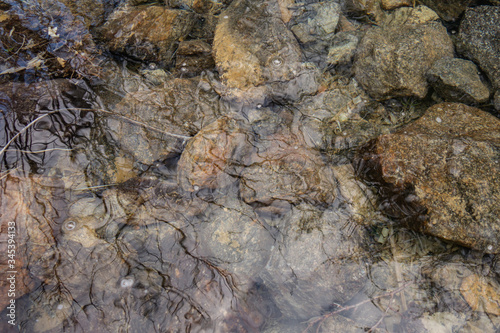 Stones at the bottom of a mountain river with clear water. Creative vintage background.