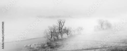 Trees in fog. River bank in morning mist. Black white landscape