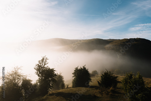 Nice image of the mist at sunrise over a landscape of green hills and small trees under a blue sky in autumn. © Miguel