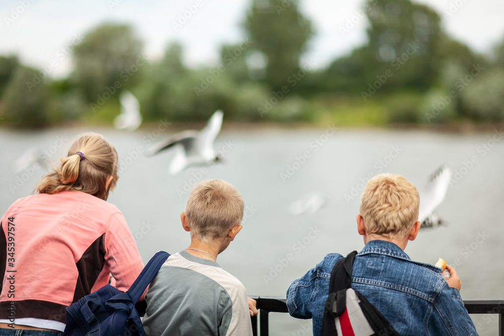 On the parade, the family looks at the birds. A huge flock of seagulls flies near the pleasure craft. Flying against the backdrop of the river and coastline. Soft focus. Color photography. On the parade, the family looks at the birds. A huge flock of seagulls flies near the pleasure craft. Flying against the backdrop of the river and coastline. Soft focus. Color photography.