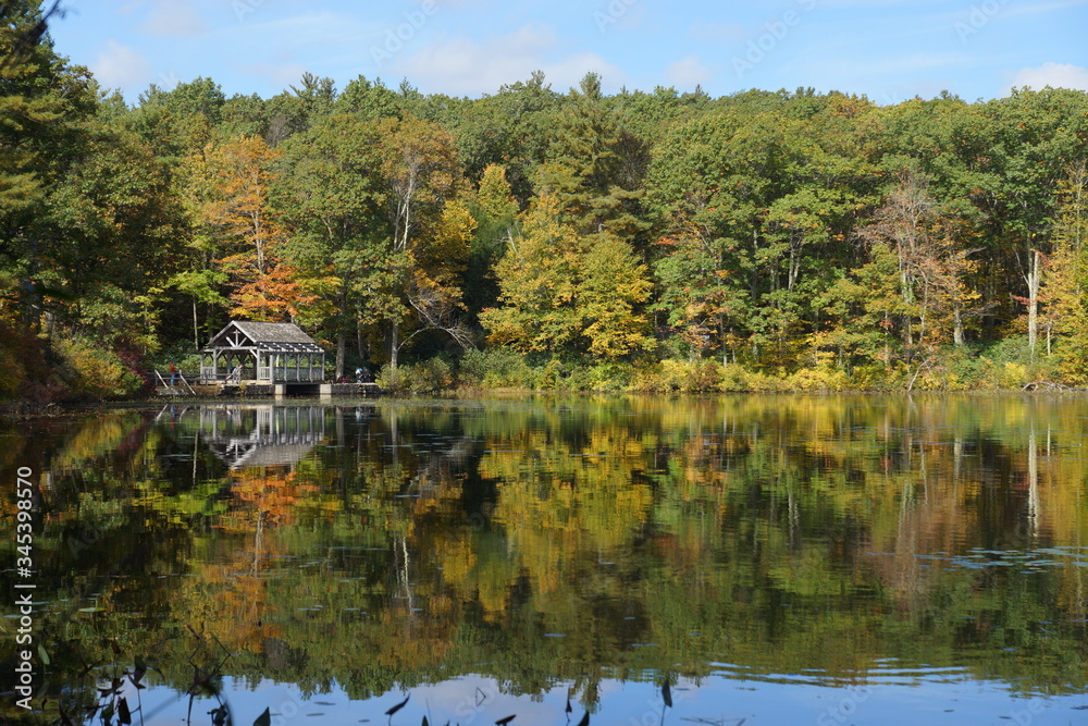 lake in the park