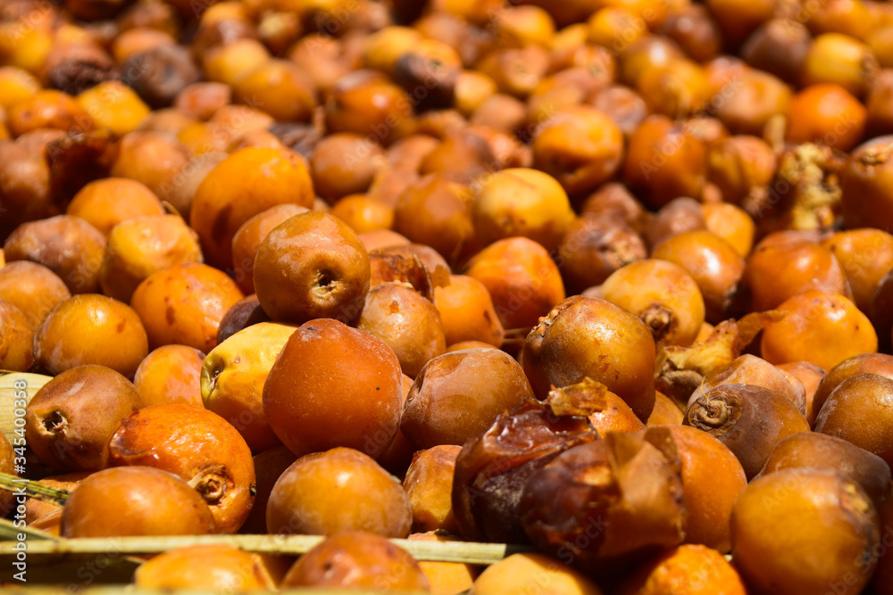Dates Sweet Fruit Ramadan Kareem Food, nutrition source dry food nature ripen Dates Sweet Fruit Ramadan Kareem Food, nutrition source dry food nature ripen