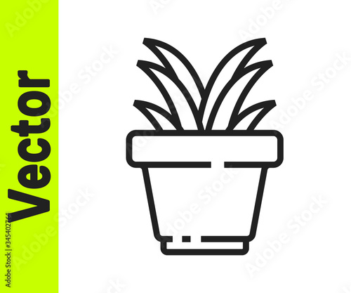 Black line Flower in pot icon isolated on white background. Plant growing in a pot. Potted plant sign. Vector Illustration