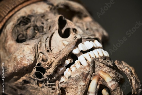 Skull part of a mummified body photo