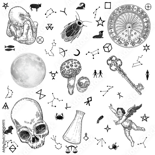 Occult set for witches. Elements for Book of spells and witchcraft alchemy. Zodiac constellations, symbols and magic alphabet background. Halloween Vector.