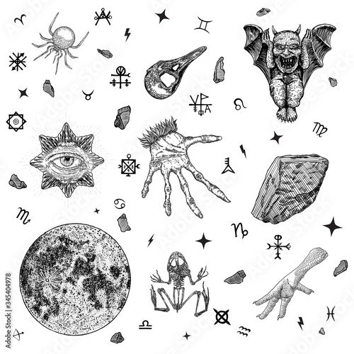 Occult alchemy set. Demonic gothic witch hand with long nails. Raven skull, gargoyle, toad skeleton, providence eye, poison spider, magic crystal, chicken foot, red moon. Witchcraft Vector.