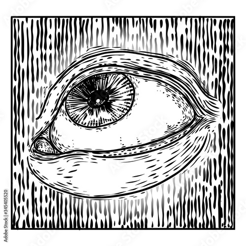 All seeing eye symbol element variation. Alchemy, religion, spirituality and occultism tattoo ink art. Vision of providence and conspiracy theory. Hand drawing in flash tattoo style artwork. Vector.