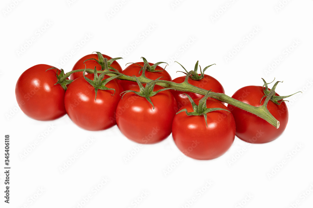 Strauch rote Tomaten auf weissem Hintergrund Strauch rote Tomaten auf weissem Hintergrund