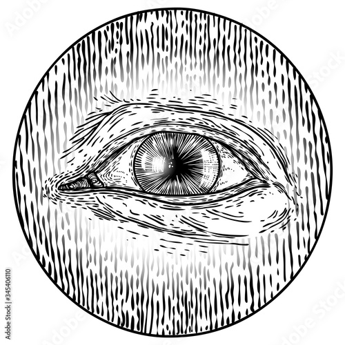 Hand drawn eye iris as element of All seeing eye of providence variation in decorative circle.  Black work tattoo flash of Masonic symbol design. Sacred religion, spirituality and occultism. Vector.