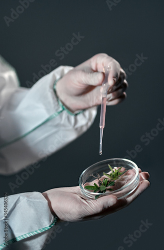 A male scientist in a protective suit holds and examines samples with plants isolated on a dark gray background.