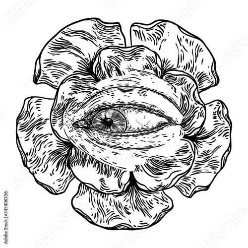 All seeing eye symbol element variation. Alchemy, religion, spirituality and occultism tattoo ink art. Vision of providence and conspiracy theory. Hand drawing in flash tattoo style artwork. Vector.