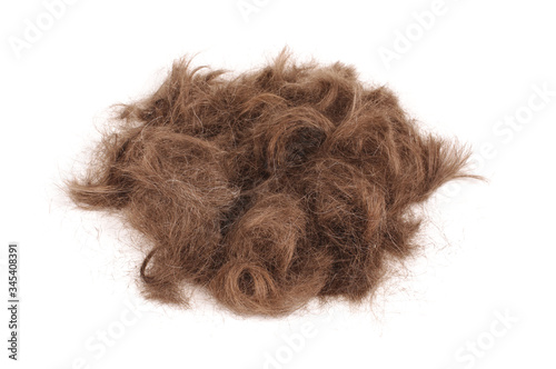 Brown male hairs isolated on the white photo