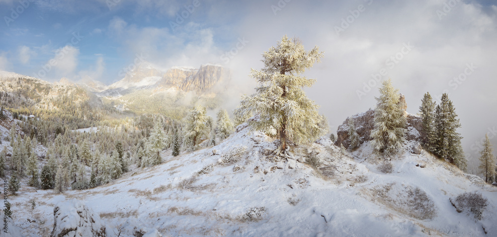 Autumn in the mountains Cinque Torri (The Five Pillars), snow in the mountains in autumn, trees in the snow, autumn day, Dolomites, Italy. Autumn in the mountains Cinque Torri (The Five Pillars), snow in the mountains in autumn, trees in the snow, autumn day, Dolomites, Italy.