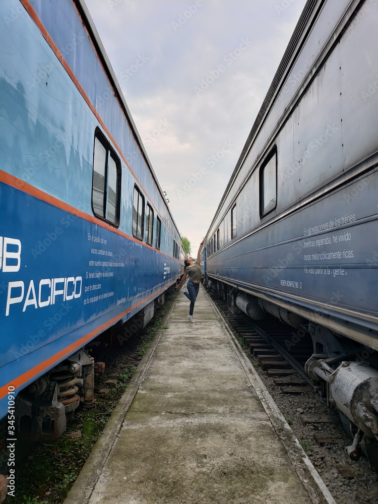 Obraz premium Danza entre trenes