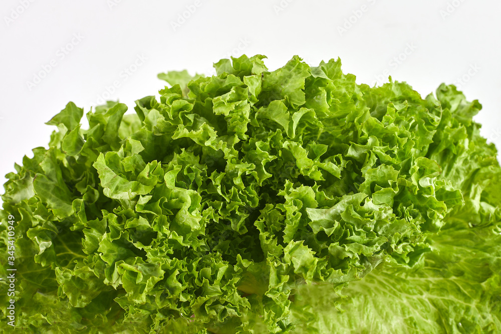 Lettuce salad isolated on a white background, top view. Close-up Lettuce salad isolated on a white background, top view. Close-up