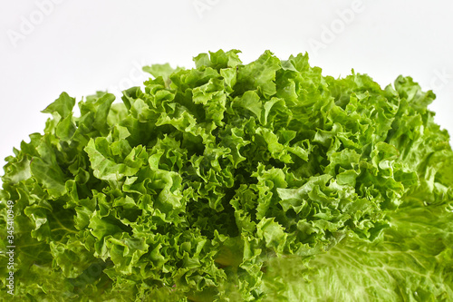 Lettuce salad isolated on a white background  top view. Close-up