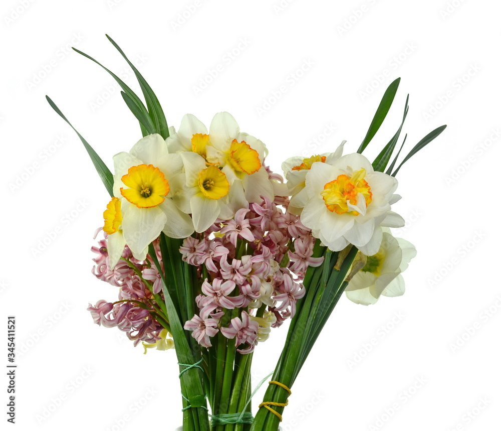 Spring bouquet of flowers isolated on white background. Blue Hyacinth flower bouquet, Hyacinthus orientalis and Yellow daffodil.