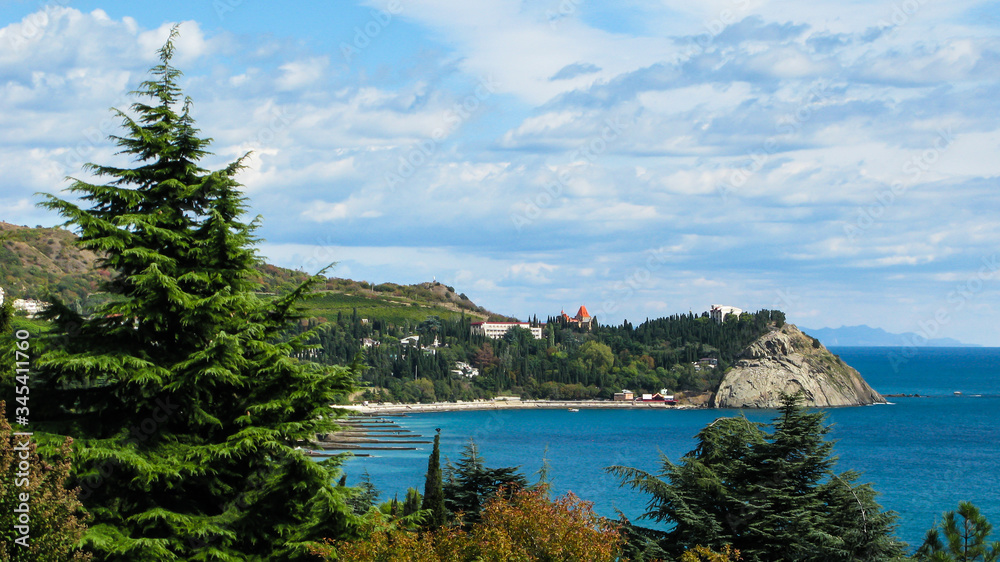 panoramic view of the sea, a rocky cape and coniferous trees in the foreground