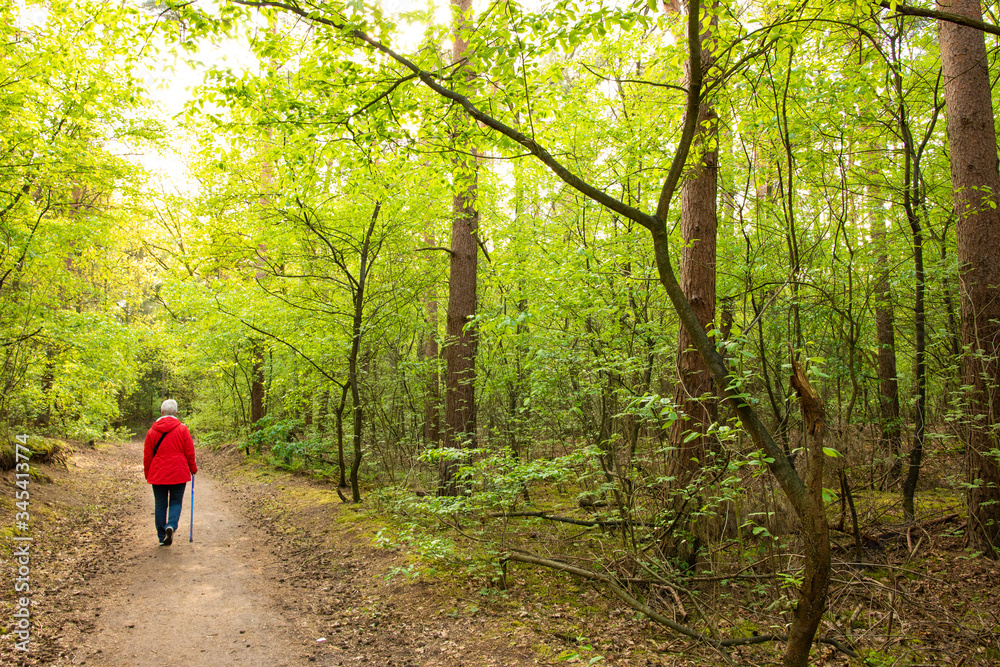 Frau mit Krückstock im Wald Frau mit Krückstock im Wald