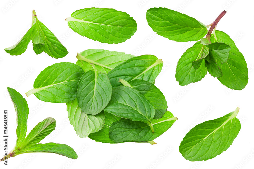 Fresh mint leaves isolated on white background. top view Fresh mint leaves isolated on white background. top view